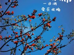 -海南霸王岭国家森林公园