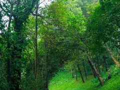 -广州市白云山风景名胜区