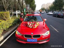 -蚂蚁婚车