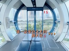 -新加坡摩天观景轮