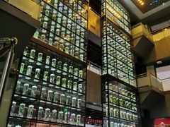 -广东中医药博物馆
