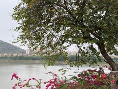 -风云岭森林公园