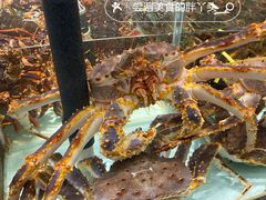 -万龙洲海鲜(大兴绿地缤纷城店)