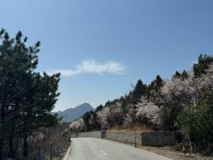 -妙峰山风景名胜区