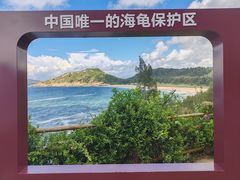 -广东惠东海龟国家级自然保护区
