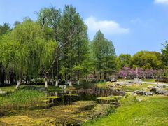 -阳澄湖半岛旅游度假区