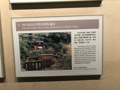 -中国茶叶博物馆(双峰馆区)