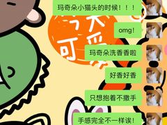 -babydoll猫舍·米努特·德文·缅因(久光中心店)
