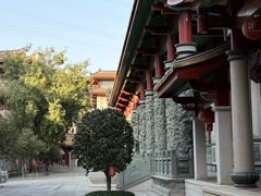 -仙岳公园