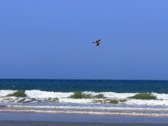 -日照海滨国家森林公园