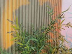 -柴犬小屋·柴餐厅·狗咖食堂(金鼎广场店)