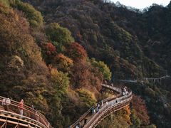 -少华山国家森林公园