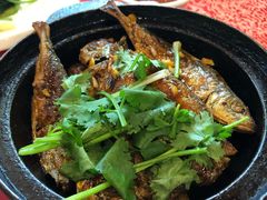 -化州大众美食城(宝安老牌店)