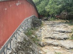 -阳台山自然风景区