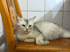 -山东水饺(南坪新街店)