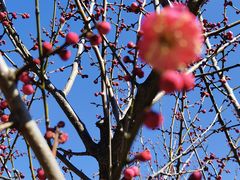 -蜀冈西峰生态公园