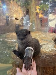 -Zoolung Zoolung动物主题公园(海信广场店)