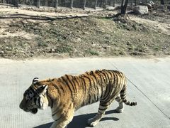 -西安秦岭野生动物园