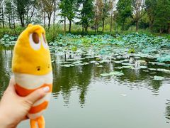 -同里国家湿地公园