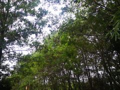 -梁鸿国家湿地公园