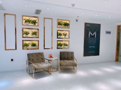 -MIVI野生眉纹绣纹眉