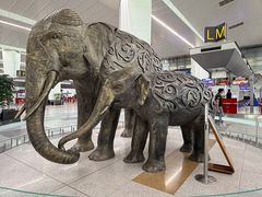 -英迪拉·甘地国际机场