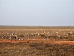 -鄱阳湖国家湿地公园