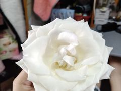 -循礼门鲜花花市(武汉循礼门店)