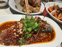 -杨氏青龙虾·羊蝎子(金盛路总店)