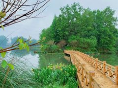 -桤木河湿地公园