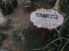 -南山植物园