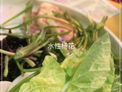 -民食香·腊排骨野生菌美食(木府店)