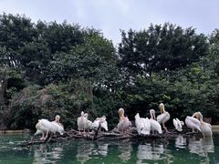 -珠海长隆海洋王国
