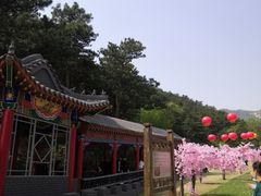 -大芦花风景区