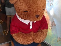 -济州岛泰迪熊博物馆