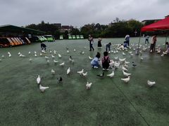 -安徽大青山野生动物世界