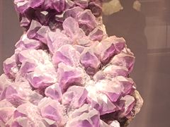 -湖南省地质博物馆