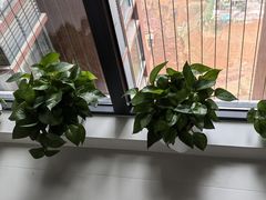 -点石家装(新化店)