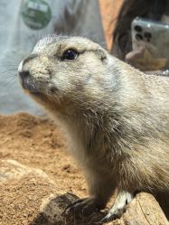 -Zoolung Zoolung动物主题公园(海信广场店)