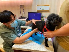 -宠爱国际动物医院·消化内科·心肾内科·ISFM猫友好(望京店)
