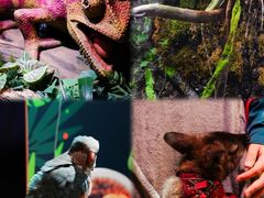 -正佳雨林生态植物园