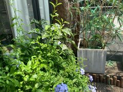 -邈墨茶馆(凤起路店)