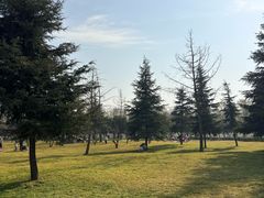 -洨河生态公园