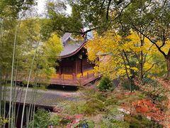 -灵隐飞来峰景区