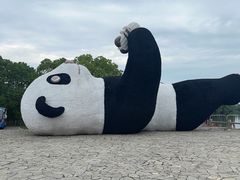 -苏州太湖国家湿地公园