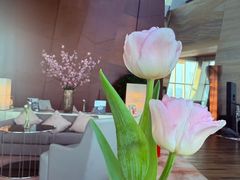 -君悦酒店·大堂酒吧·高空下午茶·暮色微醺