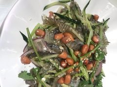 顺德捞鱼皮-清晖小苑•顺德地方菜(壹海城店)