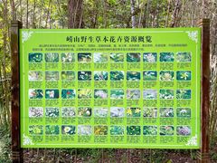 -崂山九水游览区