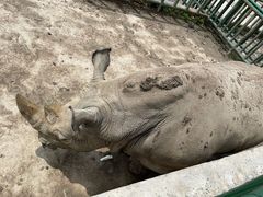 -哈尔滨北方森林动物园