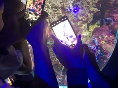 -大连圣亚海洋世界